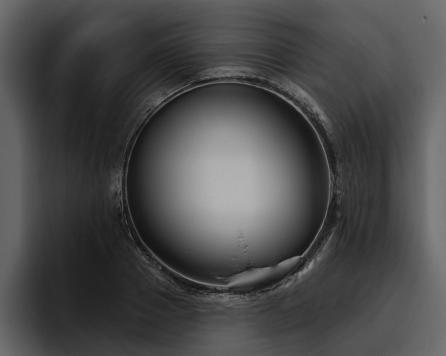 X0000095920937200801111232