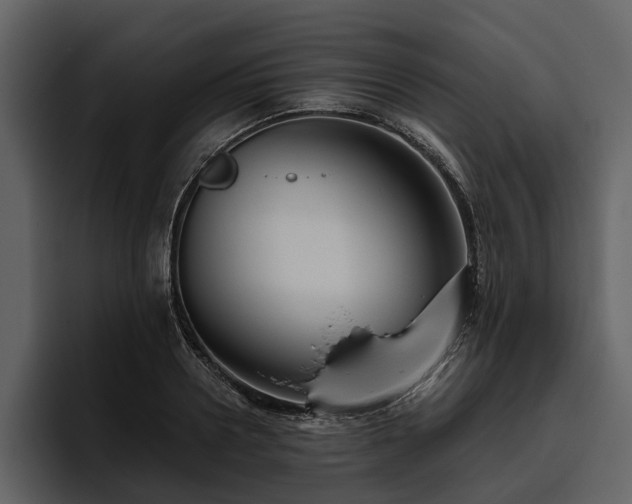 X0000095920938200801111232
