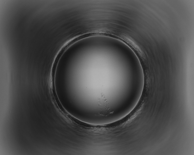 X0000095920940200801111232