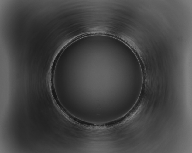X0000095920941200801111232