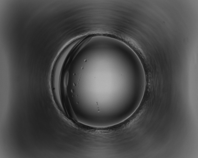 X0000095920942200801111232