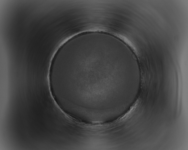 X0000095920943200801111232