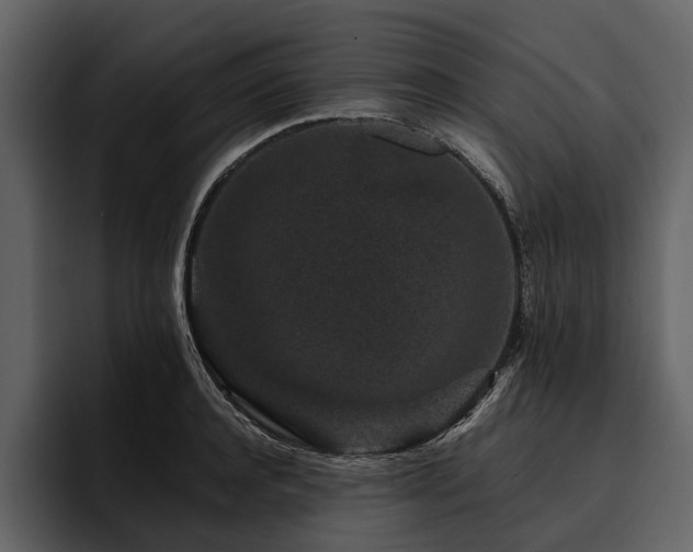 X0000095920944200801111232