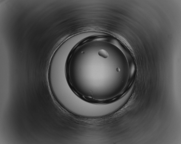 X0000095920946200801111232