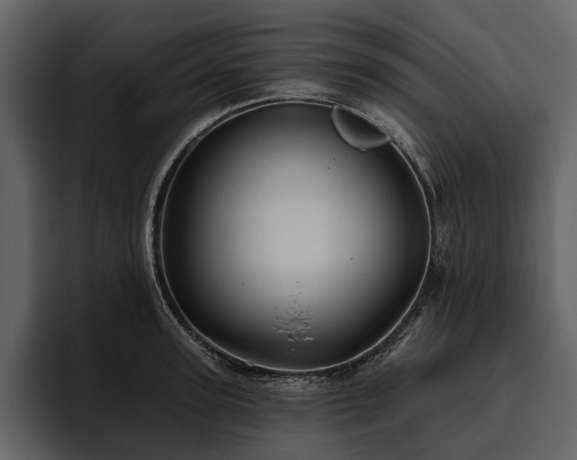 X0000095920947200801111232