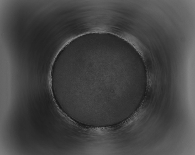 X0000095920950200801111232