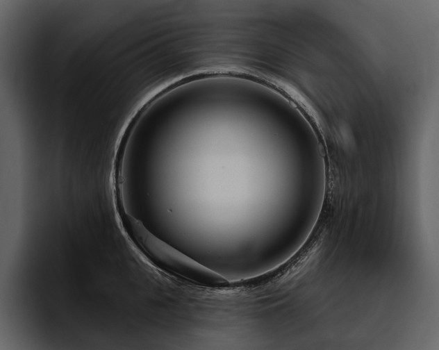 X0000095920951200801111232