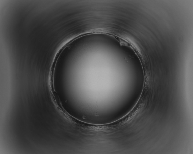 X0000095920952200801111232