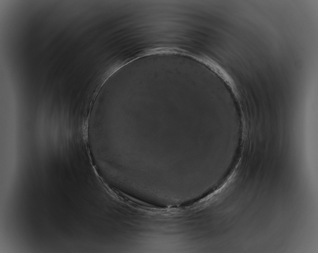 X0000095920953200801111232
