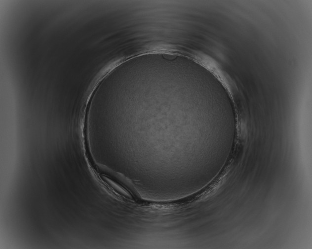 X0000095920954200801111232