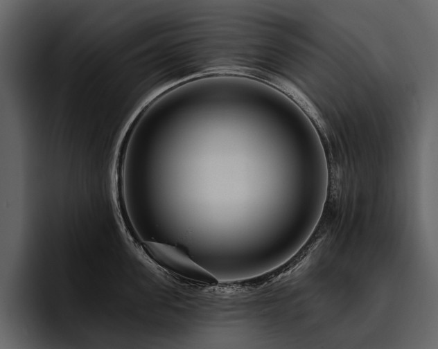 X0000095920955200801111232