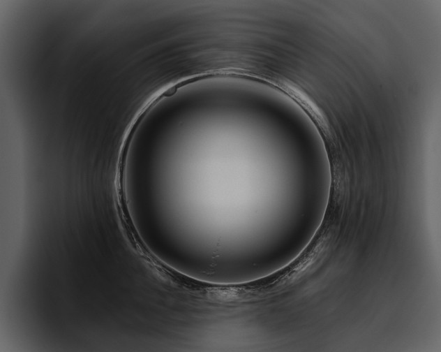 X0000095920956200801111232