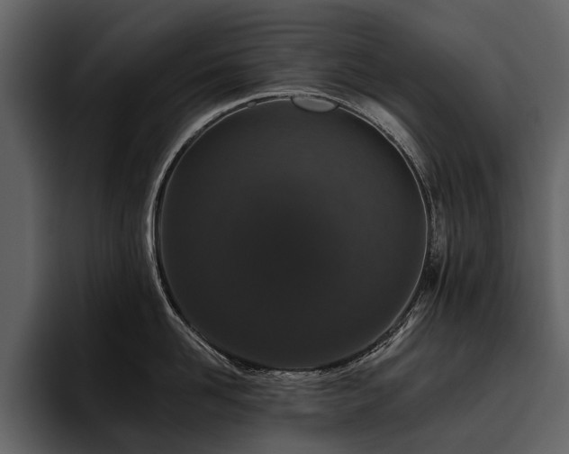 X0000095920958200801111232