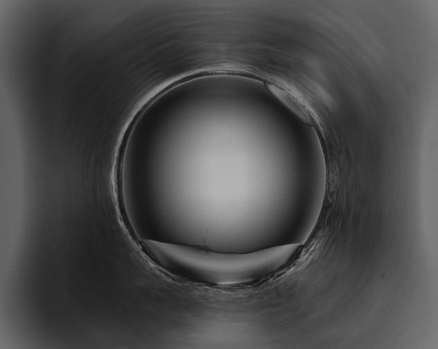 X0000095920959200801111232