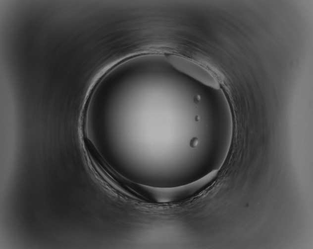 X0000095920960200801111232