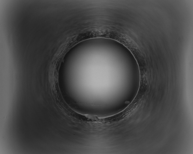 X0000095920961200801111232