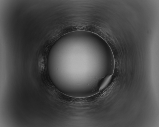 X0000095920962200801111232