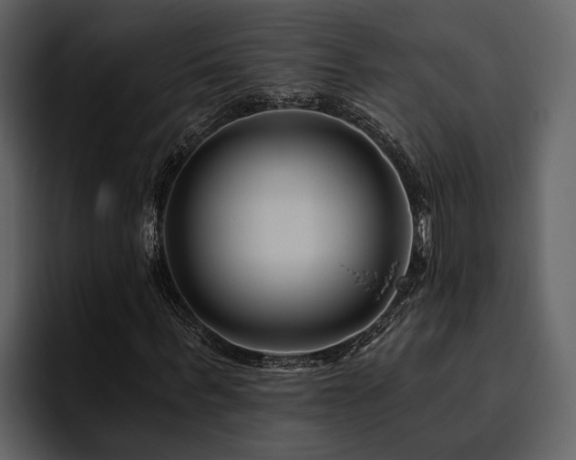 X0000095920963200801111232