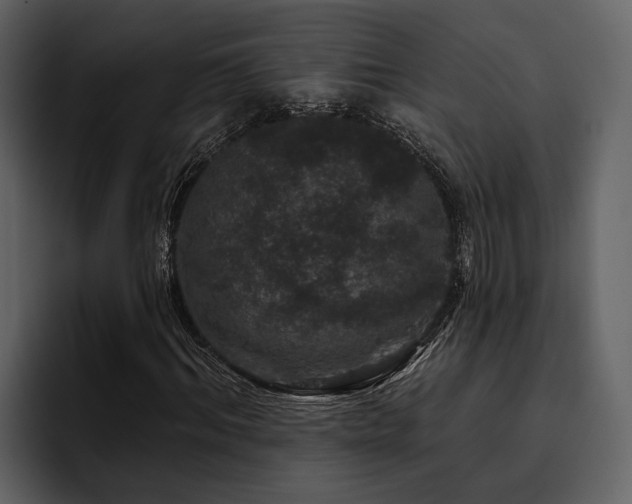 X0000095920964200801111232