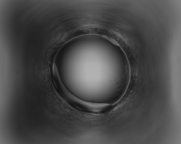 X0000095920965200801111232