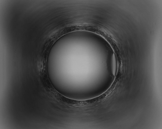 X0000095920966200801111232