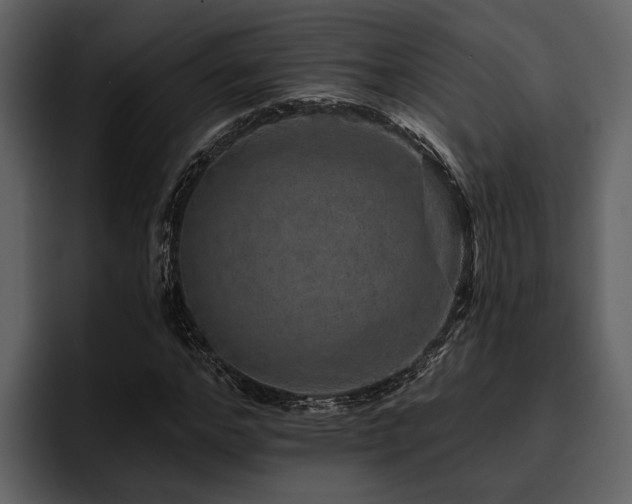 X0000095920968200801111232