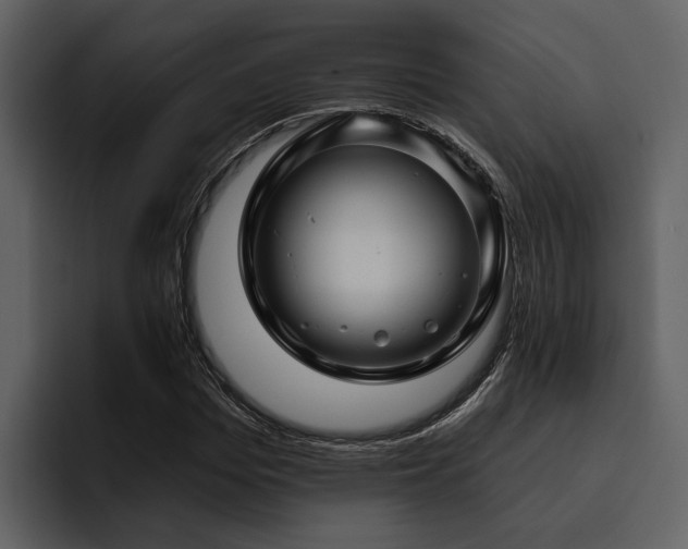 X0000095920969200801111232
