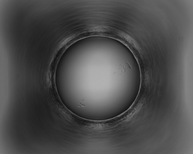X0000095920970200801111232