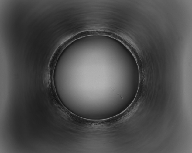 X0000095920974200801111232