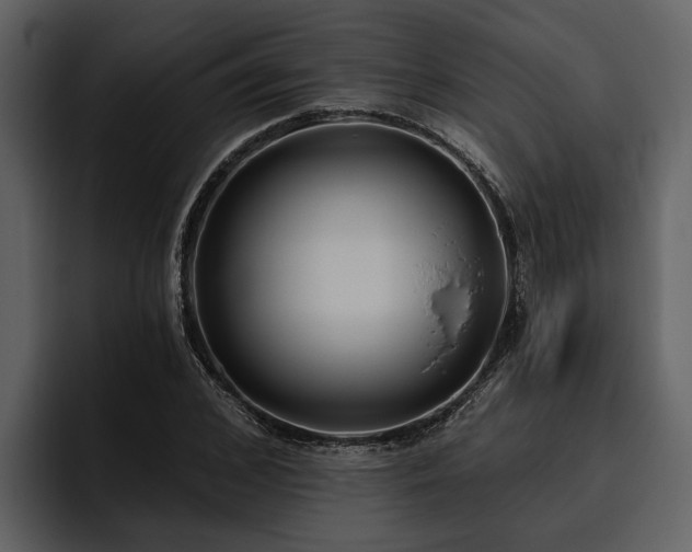 X0000095920976200801111232