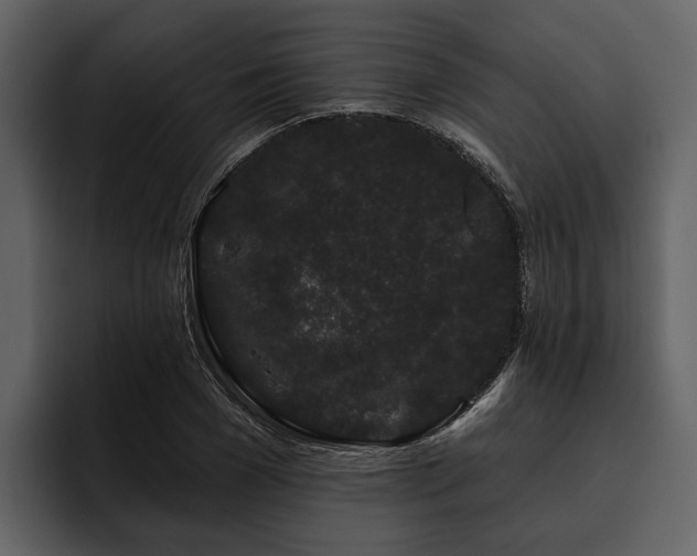 X0000095920977200801111232