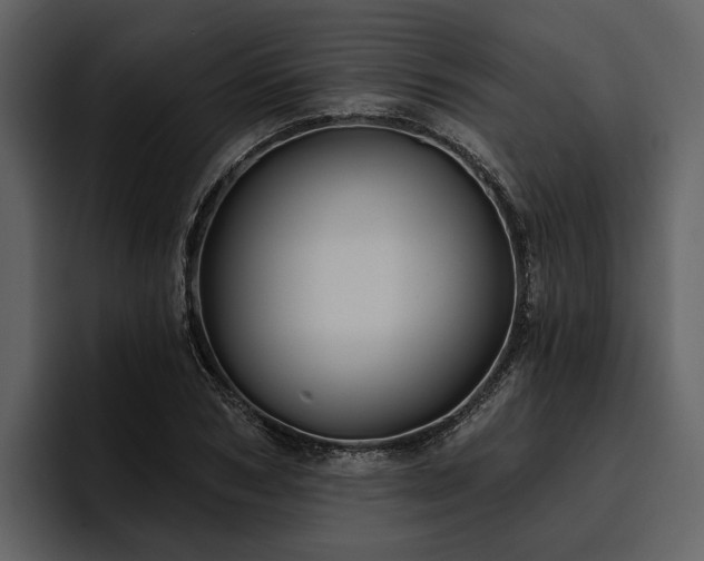 X0000095920978200801111232
