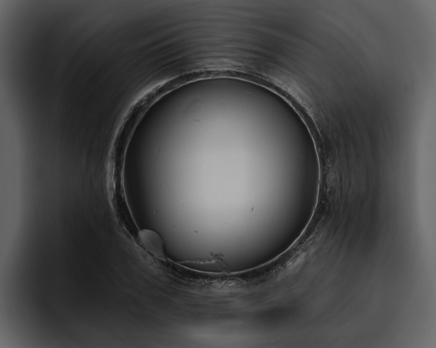 X0000095920979200801111232