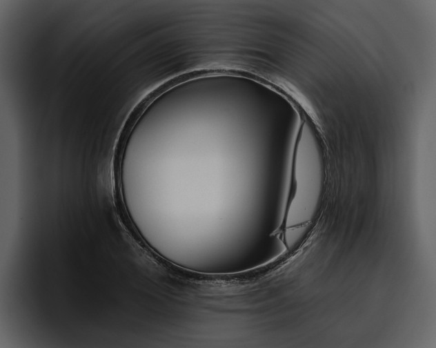 X0000095920980200801111232