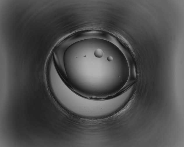 X0000095920981200801111232