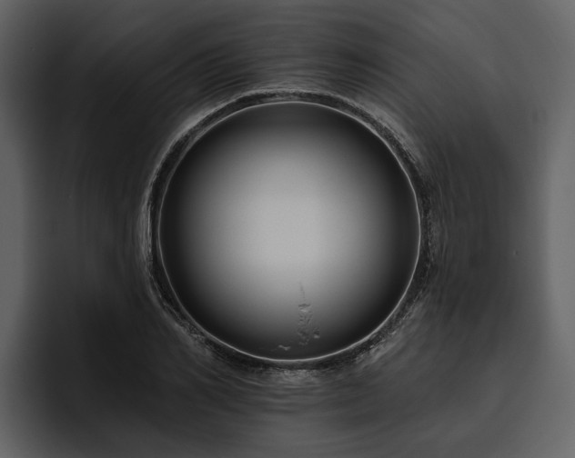 X0000095920982200801111232