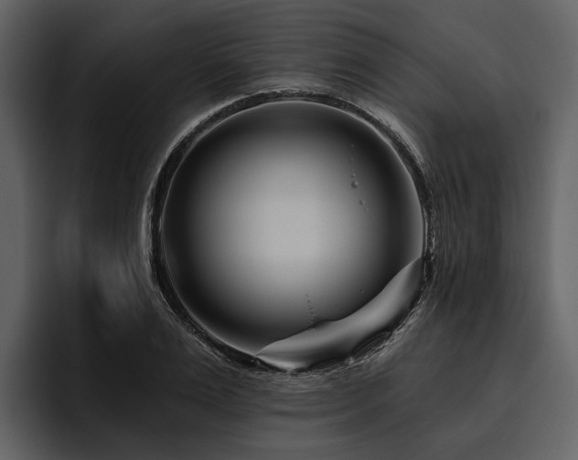 X0000095920983200801111232