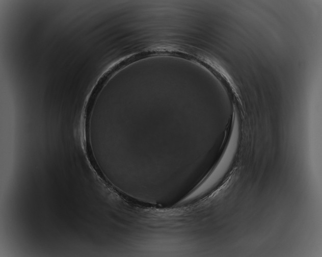 X0000095920984200801111232