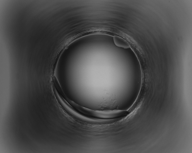 X0000095920985200801111232