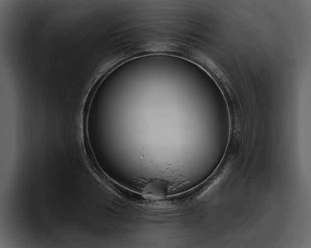 X0000095920986200801111231