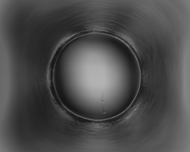 X0000095920987200801111231