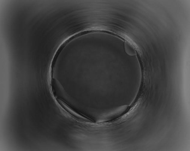 X0000095920988200801111231
