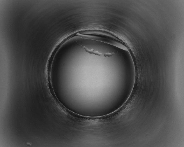 X0000095920990200801111231
