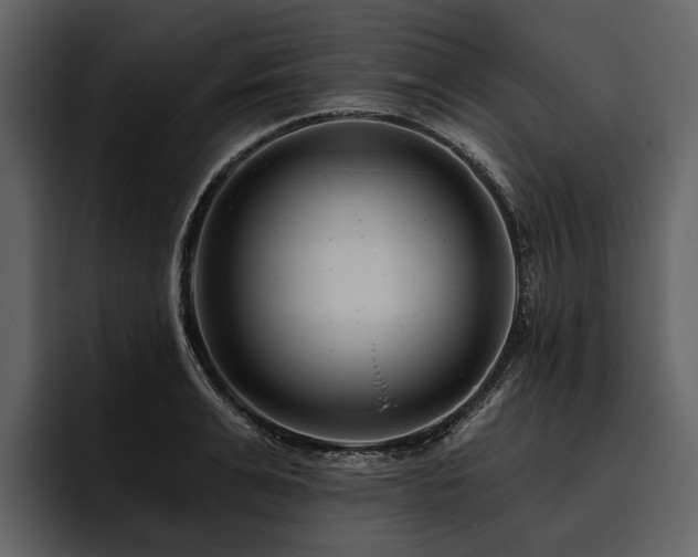 X0000095920991200801111231