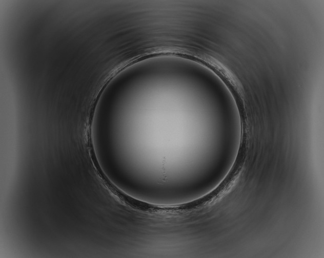 X0000095920993200801111231