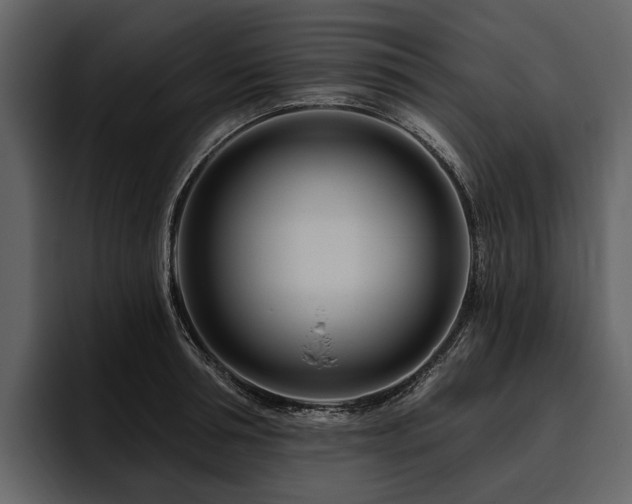 X0000095920994200801111231