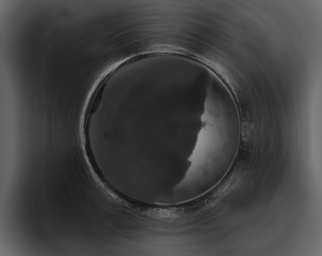 X0000095920995200801111231
