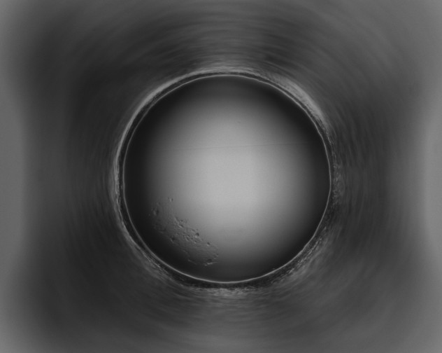 X0000095920996200801111231