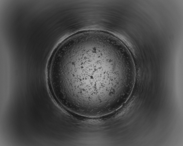 X0000095920998200801111231