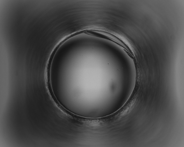 X0000095920999200801111231